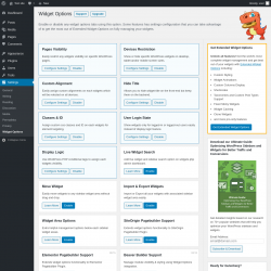 Page screenshot: Settings &rarr; Widget Options