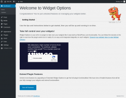 Page screenshot: Getting started with Widget Options &lsaquo; Test site &mdash; WordPress