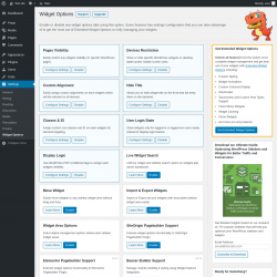 Page screenshot: Settings &rarr; Widget Options