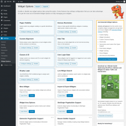 Page screenshot: Settings &rarr; Widget Options