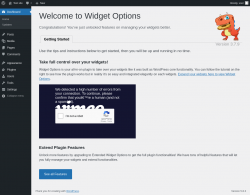 Page screenshot: Getting started with Widget Options &lsaquo; Test site &mdash; WordPress