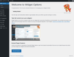 Page screenshot: Getting started with Widget Options &lsaquo; Test site &mdash; WordPress