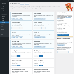 Page screenshot: Settings &rarr; Widget Options