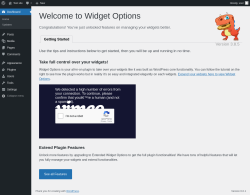Page screenshot: Getting started with Widget Options &lsaquo; Test site &mdash; WordPress