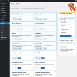 Page screenshot: Settings &rarr; Widget Options