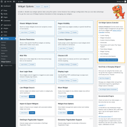 Page screenshot: Settings &rarr; Widget Options