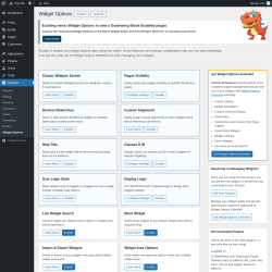 Page screenshot: Settings &rarr; Widget Options