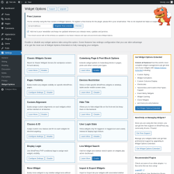 Page screenshot: Settings → Widget Options