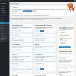 Page screenshot: Settings &rarr; Widget Options