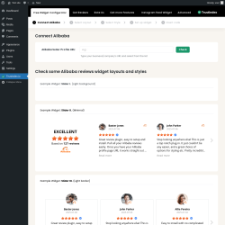 Page screenshot: Alibaba reviews &lsaquo; Test site &mdash; WordPress