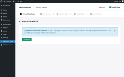 Page screenshot: Facebook Feed