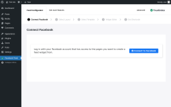 Page screenshot: Facebook Feed &lsaquo; Test site &mdash; WordPress