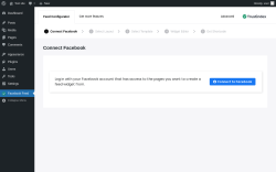Page screenshot: Facebook Feed