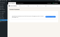 Page screenshot: Facebook Feed &lsaquo; Test site &mdash; WordPress