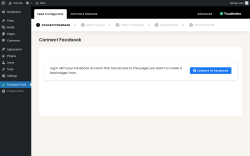 Page screenshot: Facebook Feed &lsaquo; Test site &mdash; WordPress