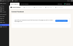 Page screenshot: Facebook Feed