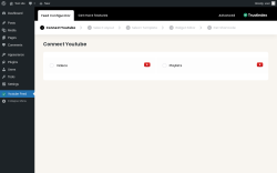 Page screenshot: Youtube Feed &lsaquo; Test site &mdash; WordPress