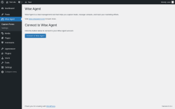 Page screenshot: Wise Agent