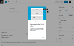 Page screenshot: Add New Post &lsaquo; Test site &mdash; WordPress