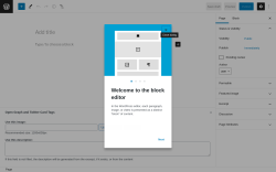 Page screenshot: Add New Page &lsaquo; Test site &mdash; WordPress