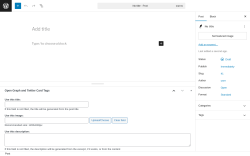 Page screenshot: Add Post &lsaquo; Test site &mdash; WordPress