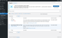 Page screenshot: Plugins &lsaquo; Test site &mdash; WordPress