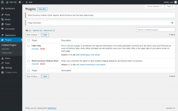 Page screenshot: Plugins ‹ Test site — WordPress