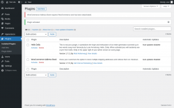Page screenshot: Plugins ‹ Test site — WordPress