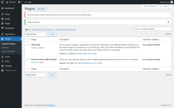 Page screenshot: Plugins ‹ Test site — WordPress
