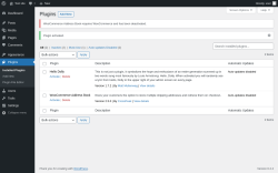 Page screenshot: Plugins ‹ Test site — WordPress