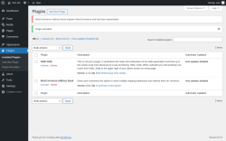 Page screenshot: Plugins ‹ Test site — WordPress