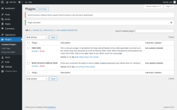 Page screenshot: Plugins ‹ Test site — WordPress