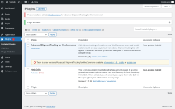 Page screenshot: Plugins &lsaquo; Test site &mdash; WordPress