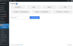 Page screenshot: Aliexpress, Temu, eBay, Amazon and Etsy Dropshipping