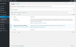 Page screenshot: Plugins &lsaquo; Test site &mdash; WordPress