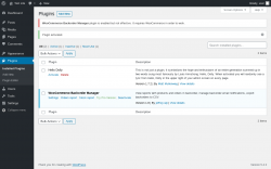 Page screenshot: Plugins &lsaquo; Test site &mdash; WordPress