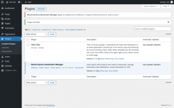 Page screenshot: Plugins &lsaquo; Test site &mdash; WordPress