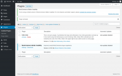 Page screenshot: Plugins &lsaquo; Test site &mdash; WordPress