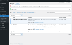 Page screenshot: Plugins ‹ Test site — WordPress