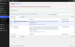 Page screenshot: Plugins &lsaquo; Test site &mdash; WordPress