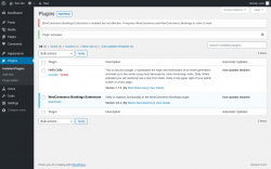 Page screenshot: Plugins &lsaquo; Test site &mdash; WordPress