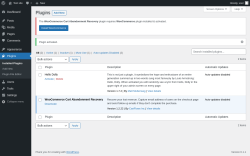 Page screenshot: Plugins &lsaquo; Test site &mdash; WordPress