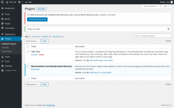 Page screenshot: Plugins &lsaquo; Test site &mdash; WordPress