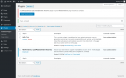 Page screenshot: Plugins &lsaquo; Test site &mdash; WordPress
