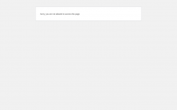 Page screenshot: WordPress › Error