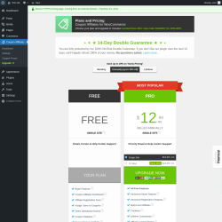 Page screenshot: Coupon Affiliates → Upgrade  ➤