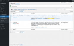 Page screenshot: Plugins &lsaquo; Test site &mdash; WordPress