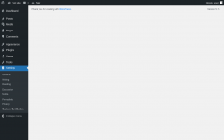 Page screenshot: Settings &rarr; Custom Cart Button