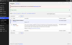 Page screenshot: Plugins &lsaquo; Test site &mdash; WordPress