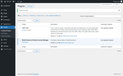 Page screenshot: Plugins &lsaquo; Test site &mdash; WordPress
